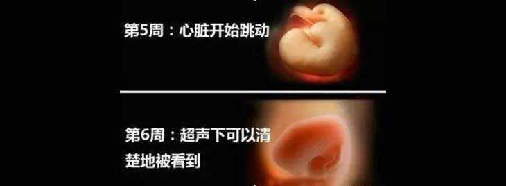 深圳海孕供卵_试管婴儿胚胎移植后孕酮低，要不要用黄体酮保胎？