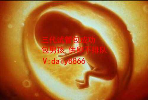 德安代孕选男女_试管婴儿胚胎培养囊胚适合所有人吗？