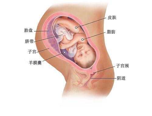 西安代孕集团_厦门妇幼试管婴儿哪个医生好？选择医生的标准是什么